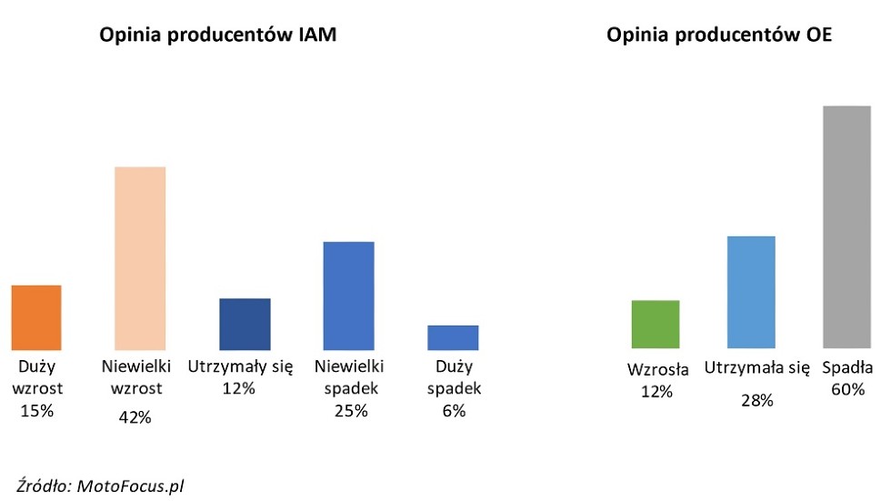 Zmiana przychodów (IAM) / wielkości produkcji (OE) firmy w 2020 r. w stosunku do 2019 r.