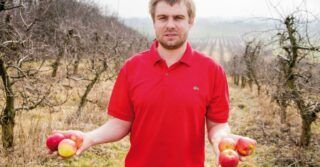 Ekologiczna uprawa jabłek. Jak to wygląda? Opowiada Jakub Kelm, właściciel ekologicznego sadu.