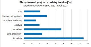 Plany inwestycyjne uczestników Synergii Systemów IT, 2012 – I poł. 2013