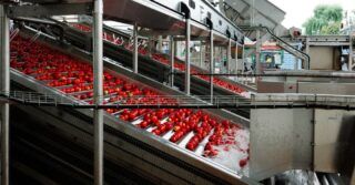 Agros Nova wdrożyła nowoczesną linię produkcyjną do produkcji koncentratu pomidorowego